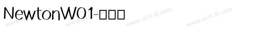 NewtonW01字体转换