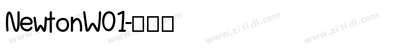 NewtonW01字体转换
