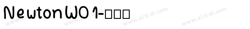 NewtonW01字体转换