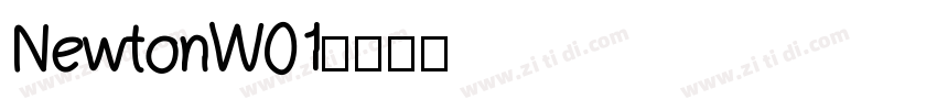 NewtonW01字体转换