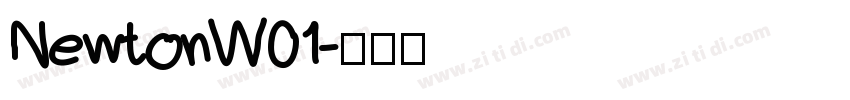 NewtonW01字体转换