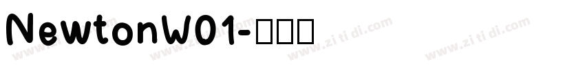 NewtonW01字体转换