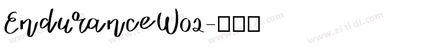 EnduranceW02字体转换