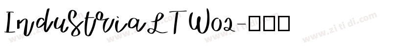 IndustriaLTW02字体转换