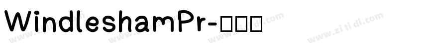 WindleshamPr字体转换