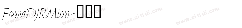 FormaDJRMicro字体转换