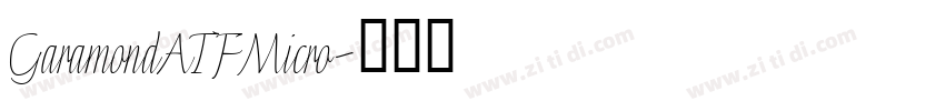 GaramondATFMicro字体转换