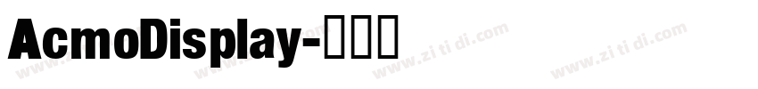 AcmoDisplay字体转换 AcmoDisplay字体转换