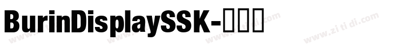 BurinDisplaySSK字体转换