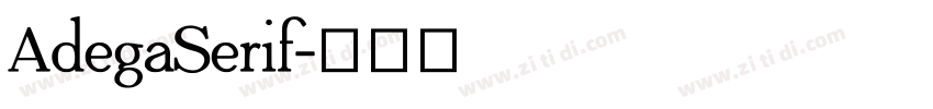 AdegaSerif字体转换