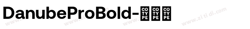 DanubeProBold字体转换