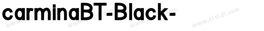 carminaBT-Black字体转换