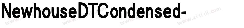 NewhouseDTCondensed字体转换
