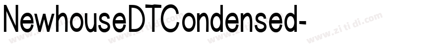 NewhouseDTCondensed字体转换