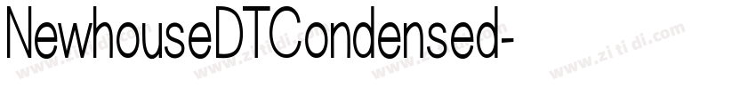 NewhouseDTCondensed字体转换