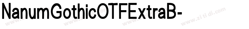 NanumGothicOTFExtraB字体转换