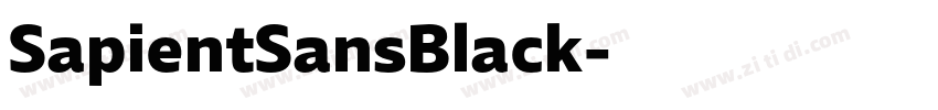 SapientSansBlack字体转换