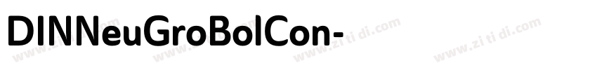 DINNeuGroBolCon字体转换