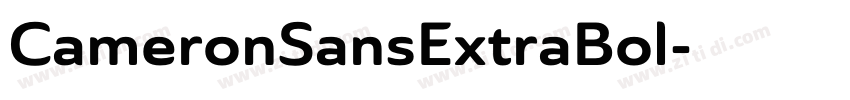 CameronSansExtraBol字体转换