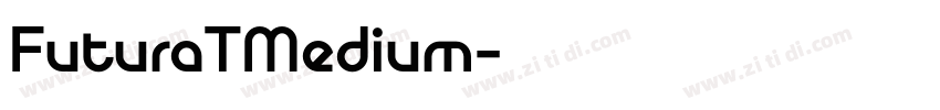 FuturaTMedium字体转换 FuturaTMedium字体转换