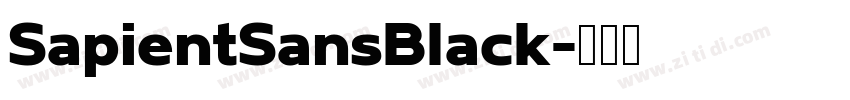 SapientSansBlack字体转换