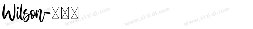 Wilson字体转换