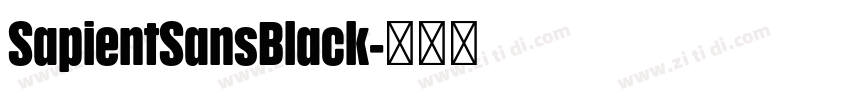 SapientSansBlack字体转换
