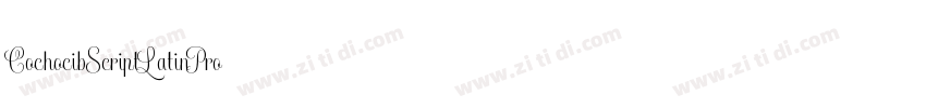 CochocibScriptLatinPro字体转换
