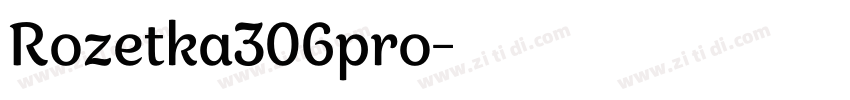 Rozetka306pro字体转换