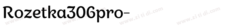 Rozetka306pro字体转换