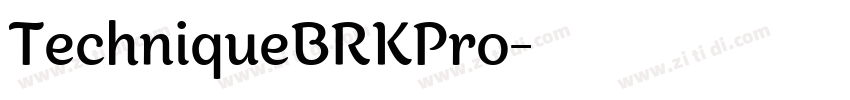 TechniqueBRKPro字体转换