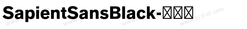 SapientSansBlack字体转换