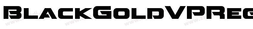 BlackGoldVPRegular字体转换
