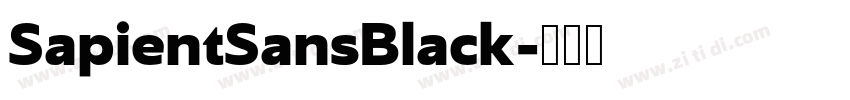 SapientSansBlack字体转换
