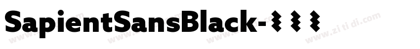 SapientSansBlack字体转换