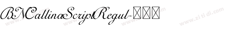 BNCallinaScriptRegul字体转换 BNCallinaScriptRegul字体转换
