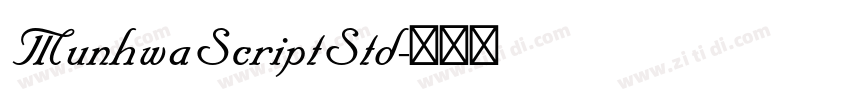 MunhwaScriptStd字体转换