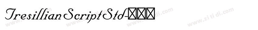 TresillianScriptStd字体转换