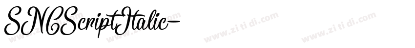 SNCScriptItalic字体转换