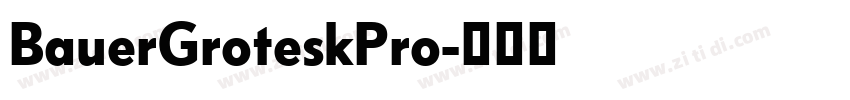 BauerGroteskPro字体转换 BauerGroteskPro字体转换
