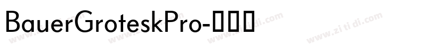 BauerGroteskPro字体转换 BauerGroteskPro字体转换