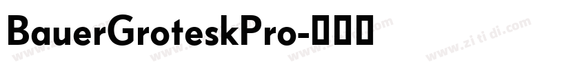 BauerGroteskPro字体转换 BauerGroteskPro字体转换