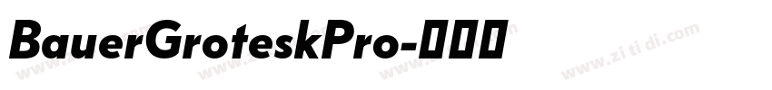 BauerGroteskPro字体转换 BauerGroteskPro字体转换