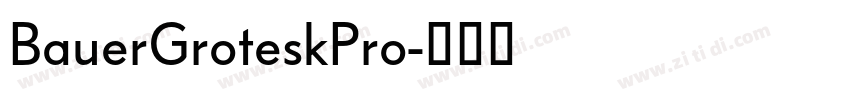 BauerGroteskPro字体转换 BauerGroteskPro字体转换