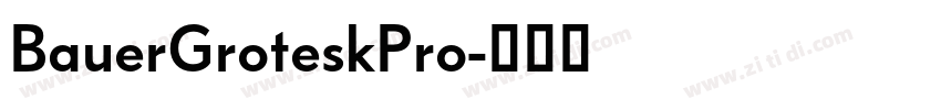 BauerGroteskPro字体转换 BauerGroteskPro字体转换