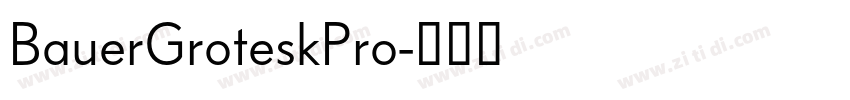 BauerGroteskPro字体转换 BauerGroteskPro字体转换