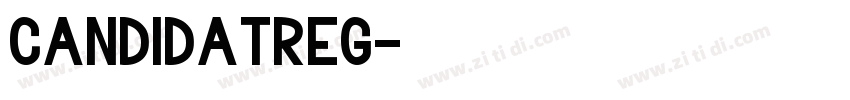 CandidaTReg字体转换