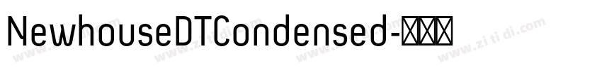 NewhouseDTCondensed字体转换
