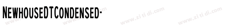 NewhouseDTCondensed字体转换