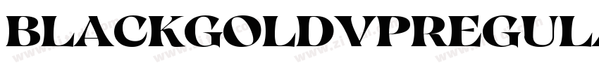 BlackGoldVPRegular字体转换